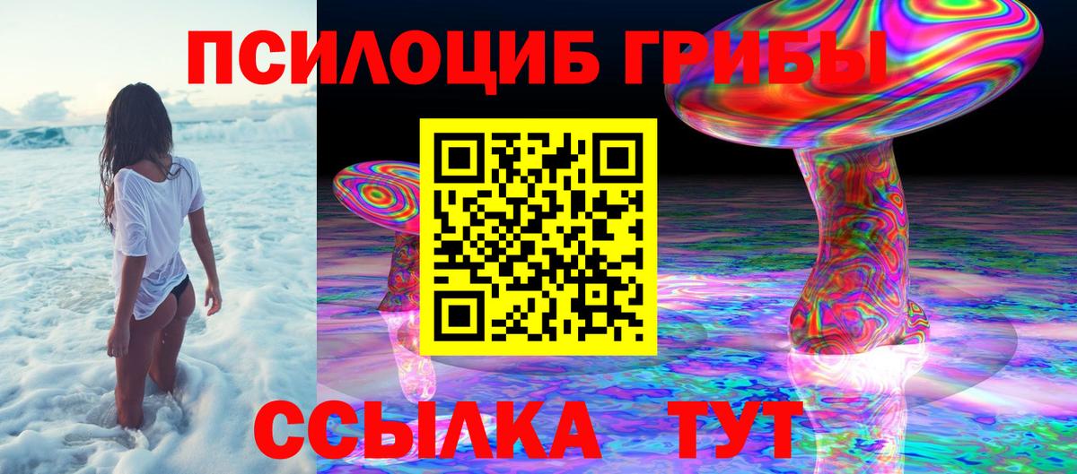 Лосино-Петровский  Псилоцибиновые грибы GOLDEN TEACHER  Вход с VPN 